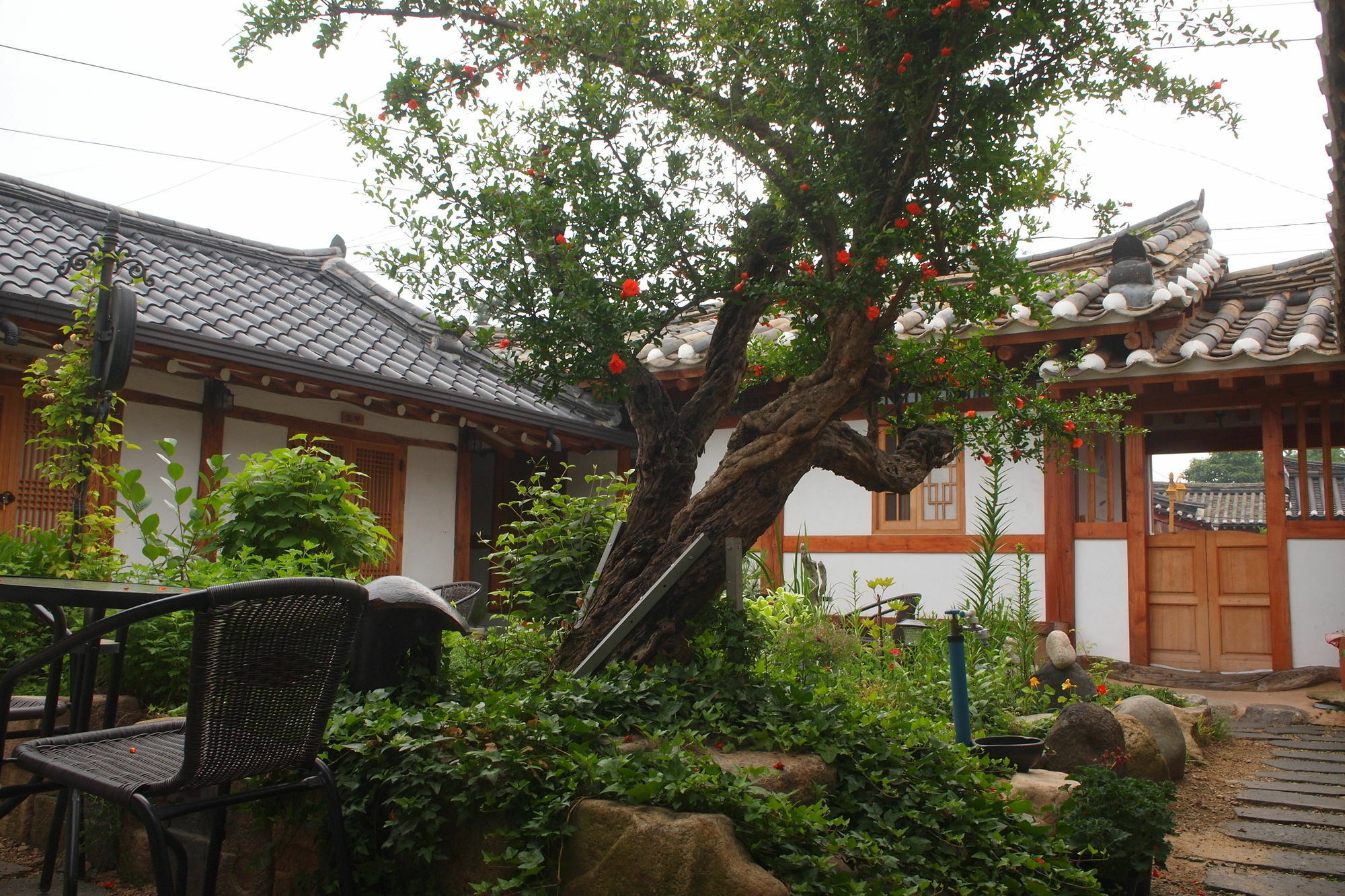 Floral Space Hanok Guesthouse كَونتو المظهر الخارجي الصورة