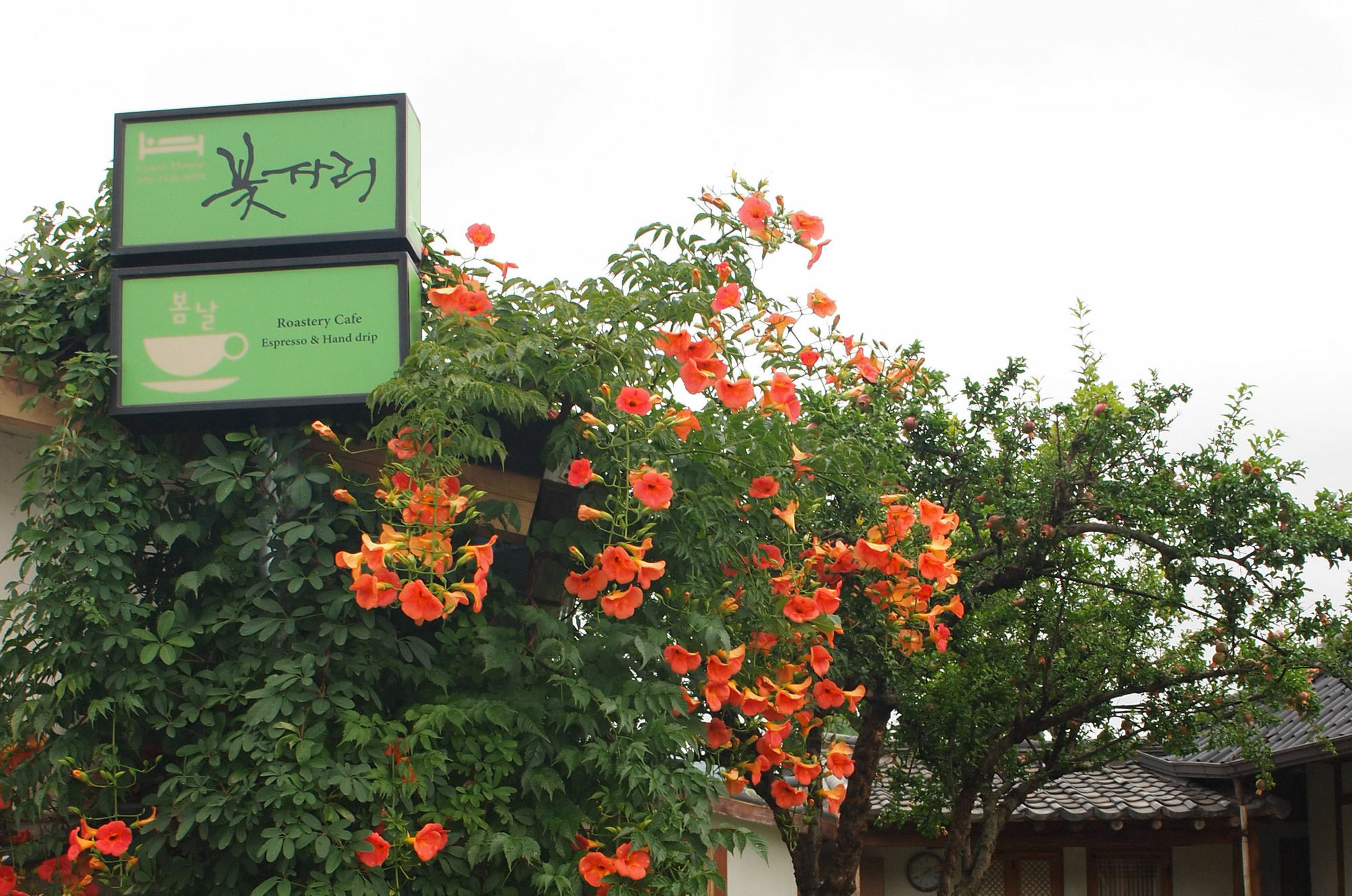 Floral Space Hanok Guesthouse كَونتو المظهر الخارجي الصورة